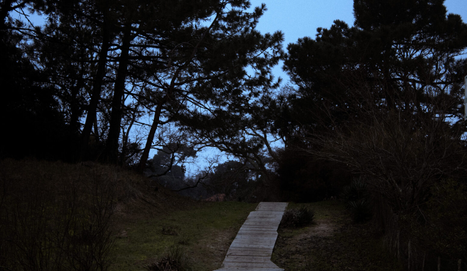 photography-bordeaux-project-personal-natura-02