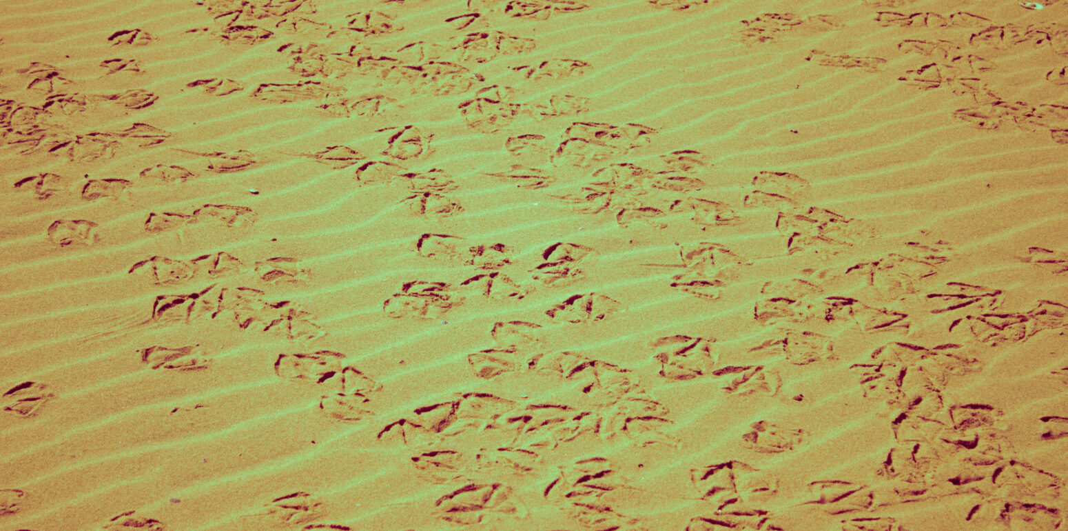 photography-bordeaux-project-personal-zoom-01