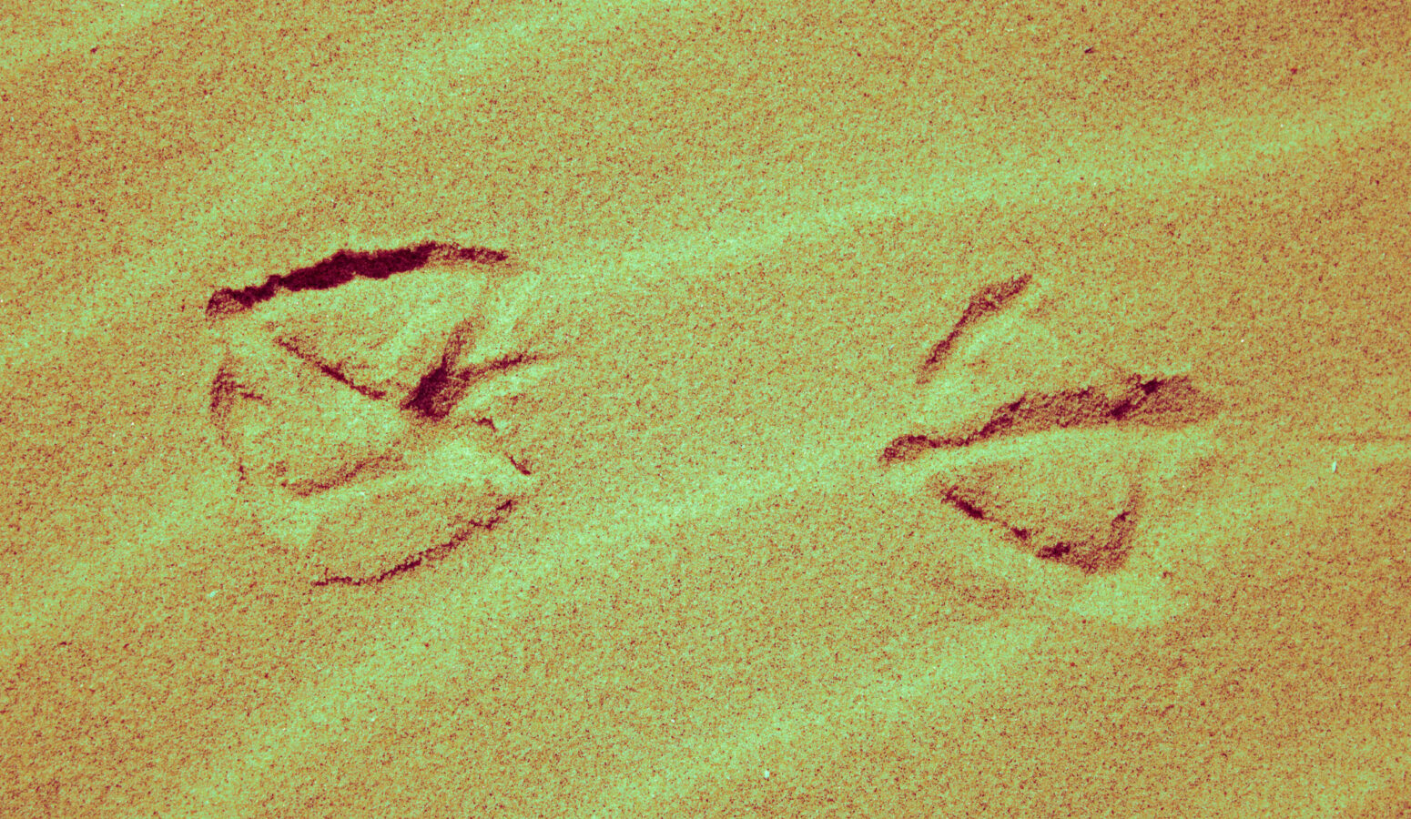 photography-bordeaux-project-personal-zoom-03