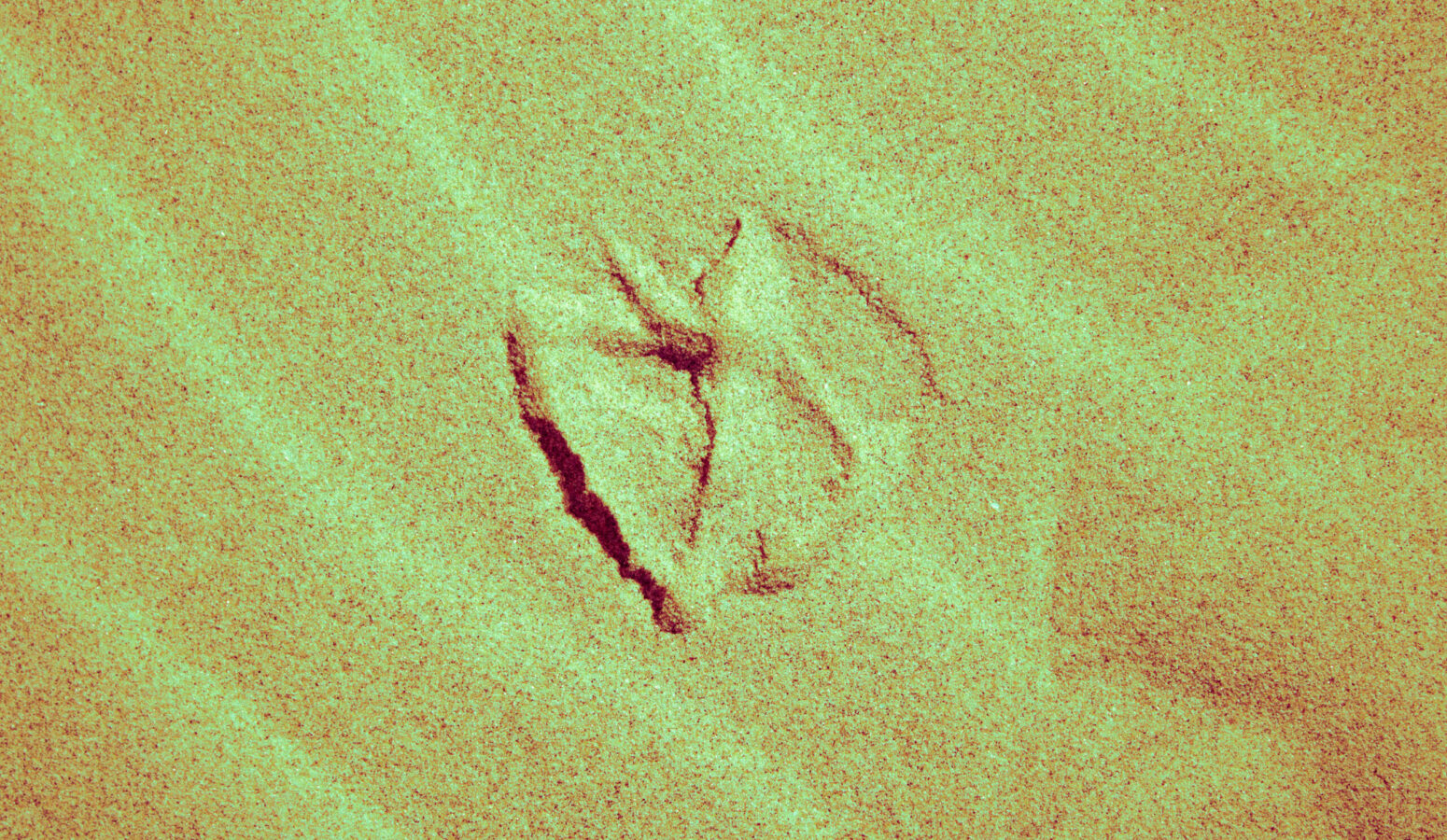 photography-bordeaux-project-personal-zoom-04